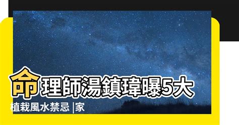 九重葛禁忌|九重葛風水不可不看攻略 (2024年更新)